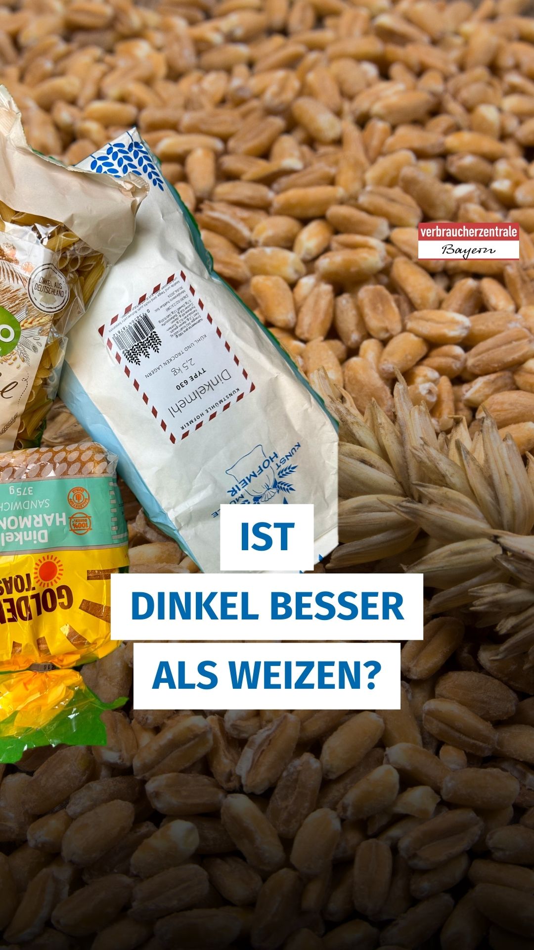 verschiedene Lebensmittel mit Dinkel liegen auf einem Haufen Dinkelkörner