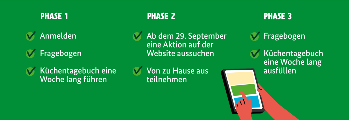 Ablauf der Datenerhebung