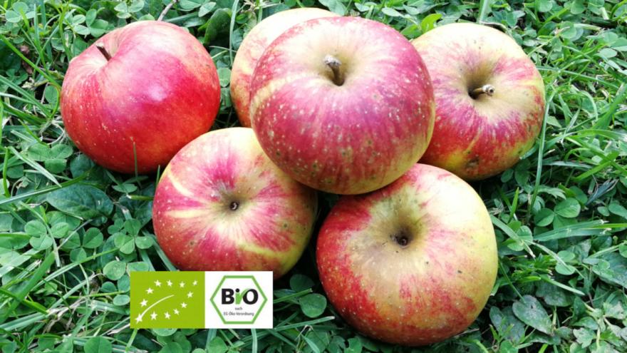 Äpfel mit Bio-Siegel