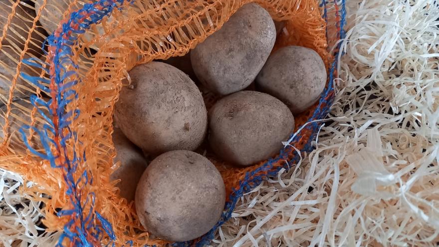 Kartoffeln in einem Plastiknetzbeutel