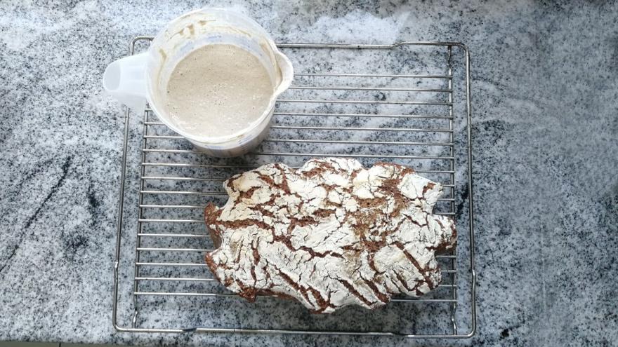 Neben einem Gefäß mit Sauerteig liegt ein fertig gebackenes Sauerteigbrot.