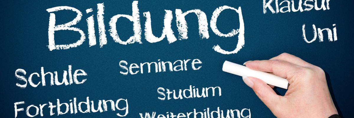 Schriftzug "Bildung" mit Kreide an eine Tafel geschrieben