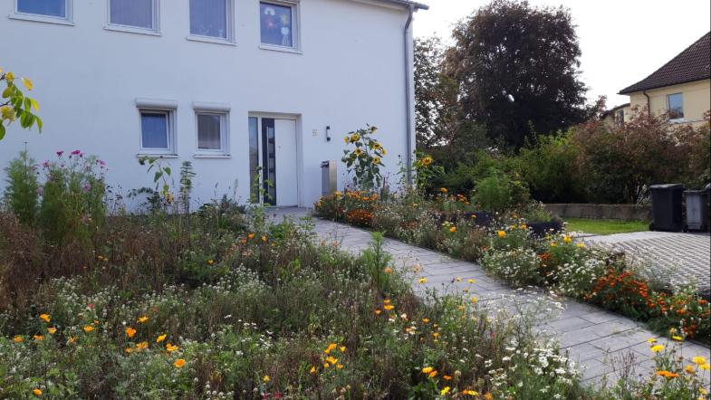ebenerdiger Hauszugang mit Wildblumen im Vorgarten